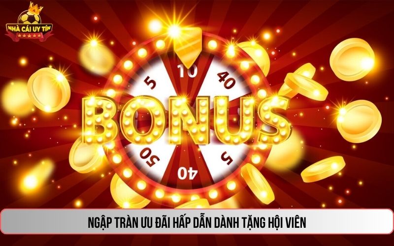 Ngập tràn ưu đãi hấp dẫn dành tặng hội viên